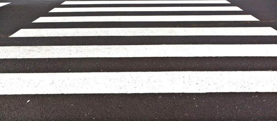 zebra2(2)